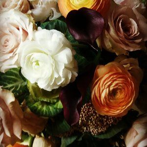 Meet your Posher, Jahnvieve